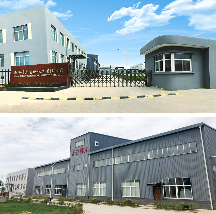 Xi'an Deli Biochemy Industry Co., Ltd: Водечка иновација во деривати на циклодекстрин, зајакнување на фармацевтската индустрија